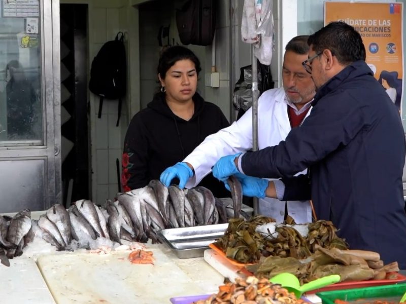 Autoridades promueven el consumo seguro de pescados y mariscos durante el verano en el Biobío para prevenir intoxicaciones alimentarias