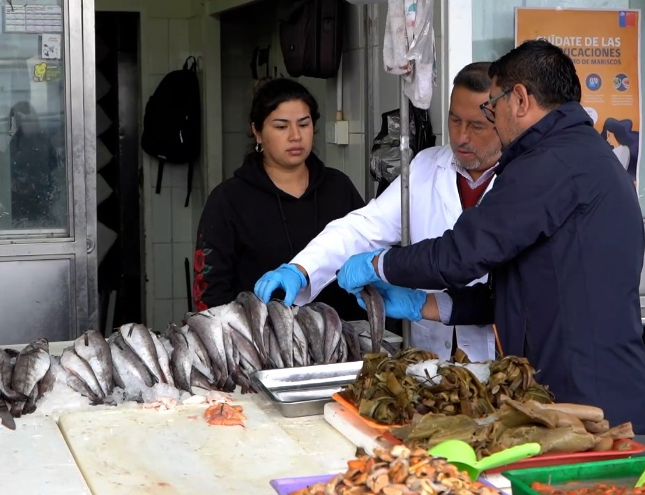 Autoridades promueven el consumo seguro de pescados y mariscos durante el verano en el Biobío para prevenir intoxicaciones alimentarias