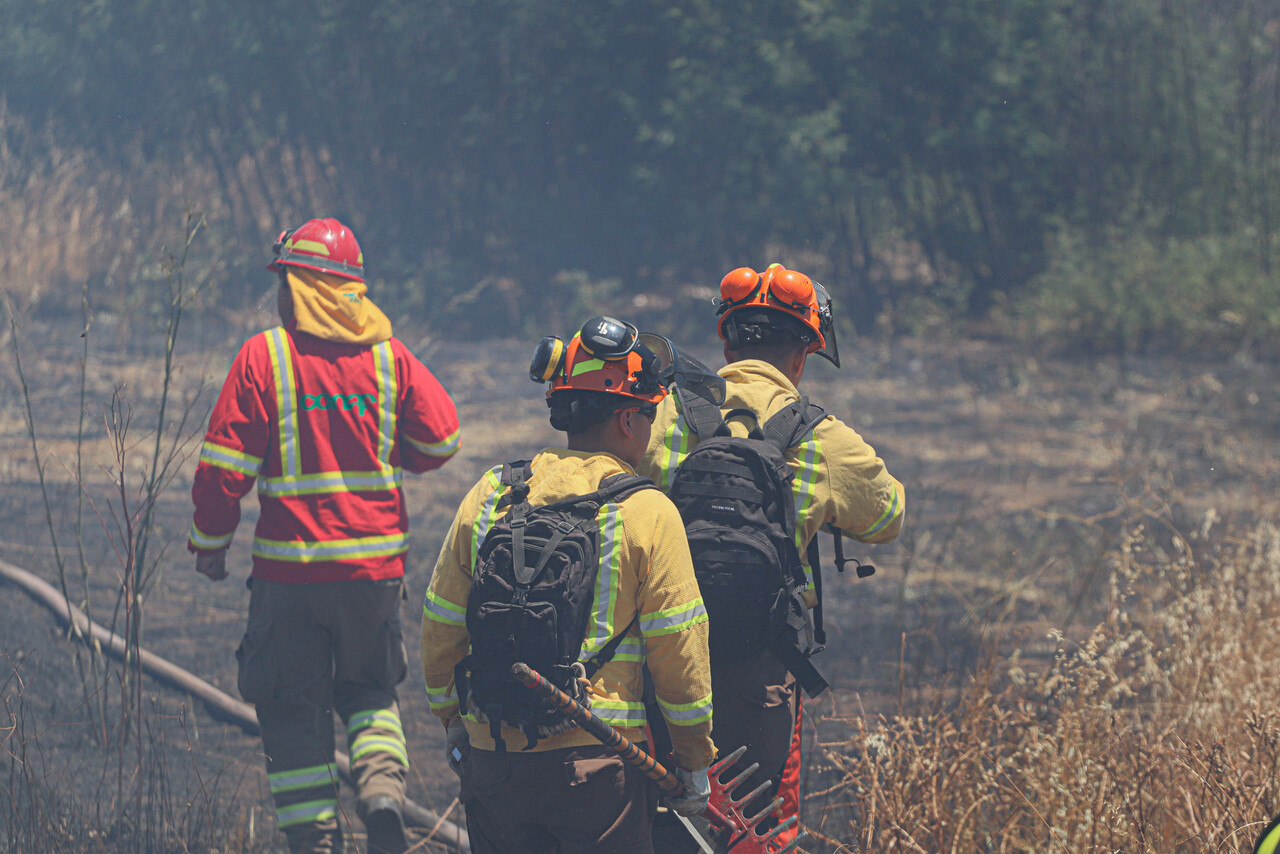 Brigadista de Conaf Biobío continúa en condición crítica tras accidente en incendio forestal en Ranquilco