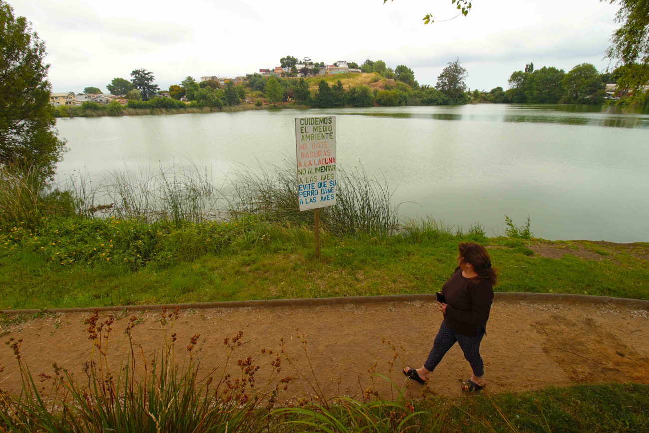 Cambio repentino de color en la Laguna Lo Méndez de Concepción