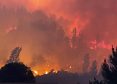 Comuna de Yumbel declarada alerta roja por intenso incendio forestal