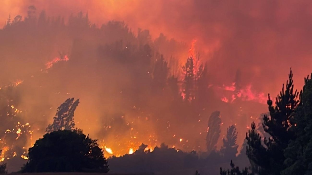 Comuna de Yumbel declarada alerta roja por intenso incendio forestal