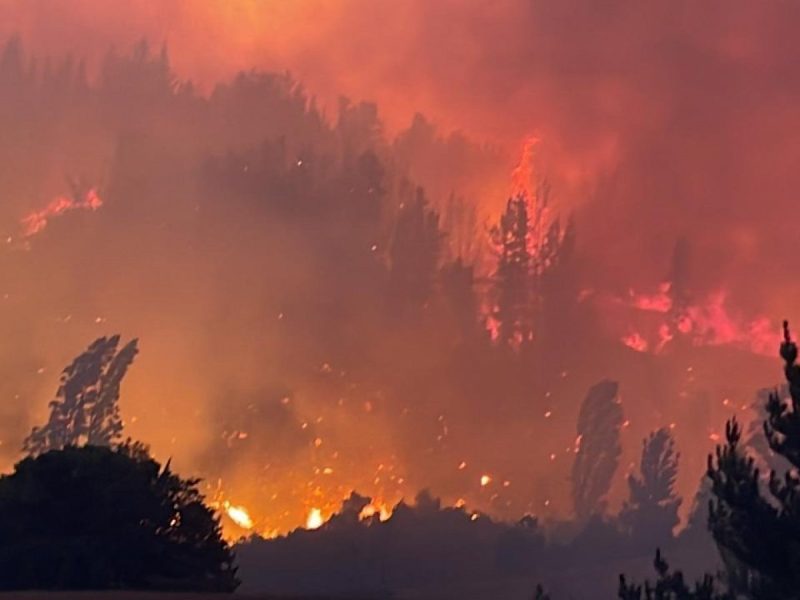 Comuna de Yumbel declarada alerta roja por intenso incendio forestal