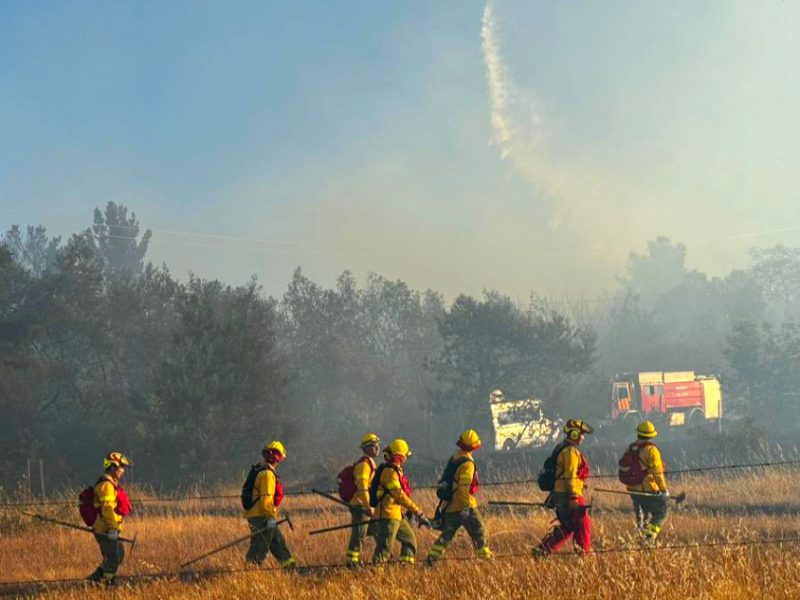 Continúa la Alerta Roja por incendio forestal en Yumbel