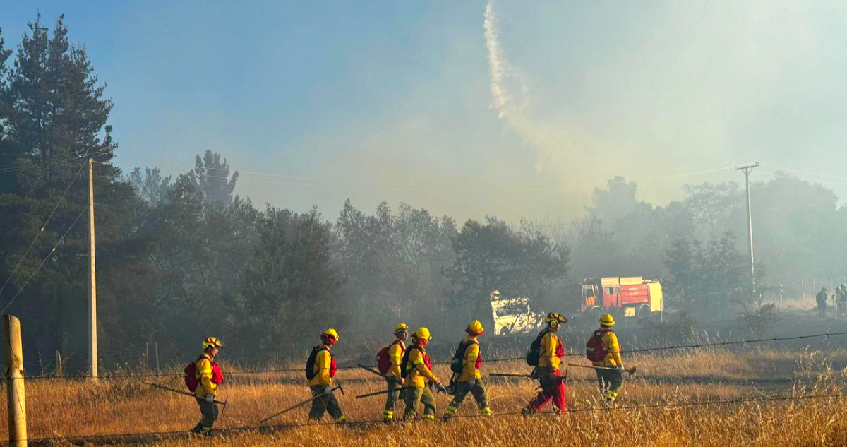 Continúa la Alerta Roja por incendio forestal en Yumbel