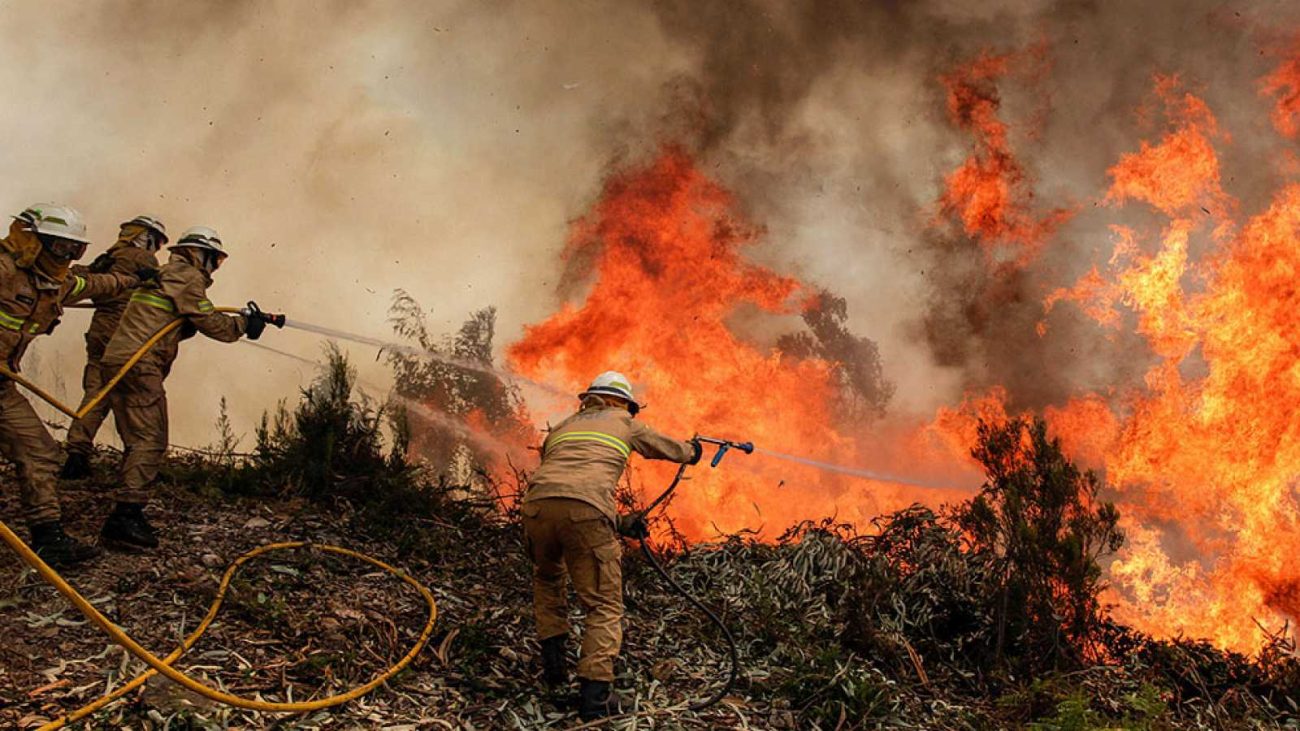 Curanilahue lidera la implementación de cámaras con Inteligencia Artificial para la detección de incendios