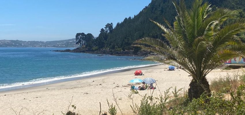 Descubre las playas habilitadas para el baño en Biobío y Ñuble