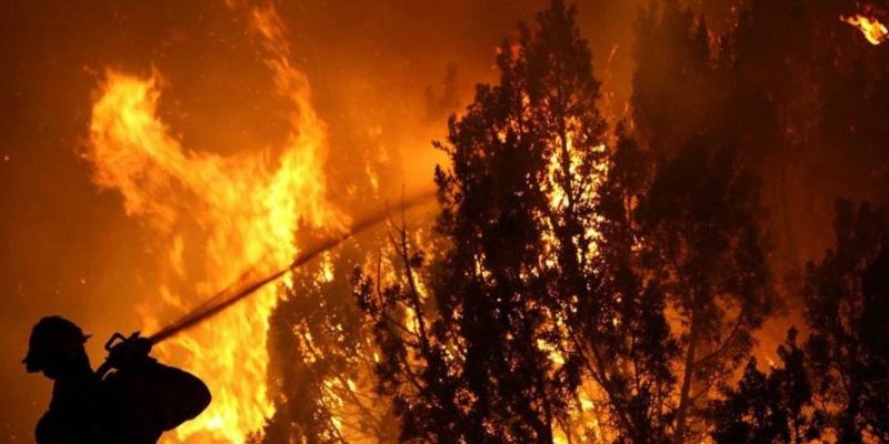 Reportan focos de incendios forestales en San Pedro de la Paz y Tomé