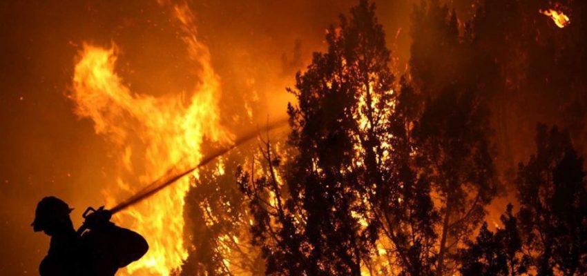 Reportan focos de incendios forestales en San Pedro de la Paz y Tomé