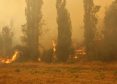 Alerta Amarilla por Incendios Forestales en la Región del Biobío