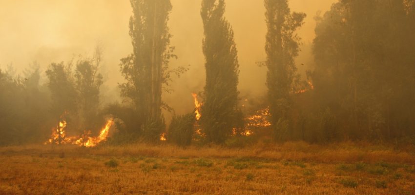 Alerta Amarilla por Incendios Forestales en la Región del Biobío