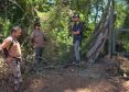 Llaman a la comunidad a no adquirir leña nativa para frenar la tala ilegal en el Parque Nonguén