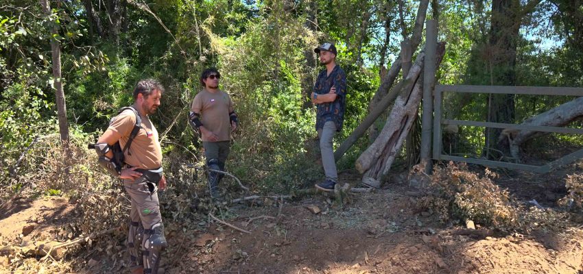 Llaman a la comunidad a no adquirir leña nativa para frenar la tala ilegal en el Parque Nonguén