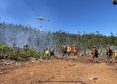 Alerta amarilla en Tomé por incendio forestal