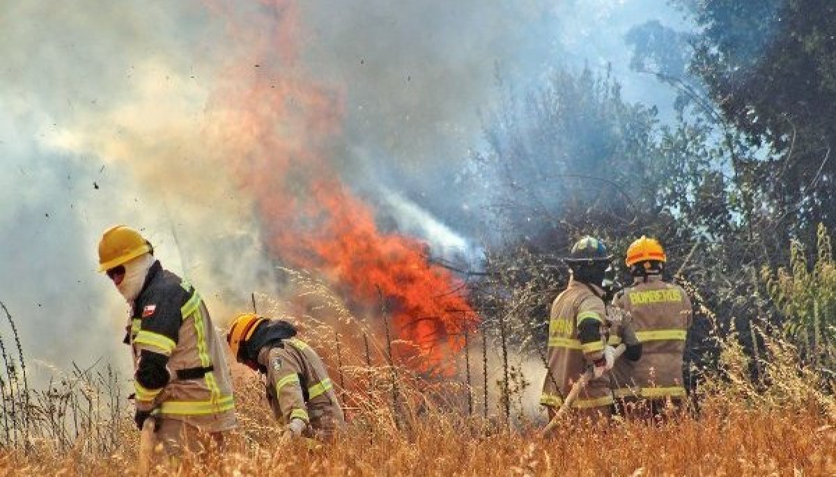 Continúan esfuerzos de combate contra incendios forestales en la región del Biobío